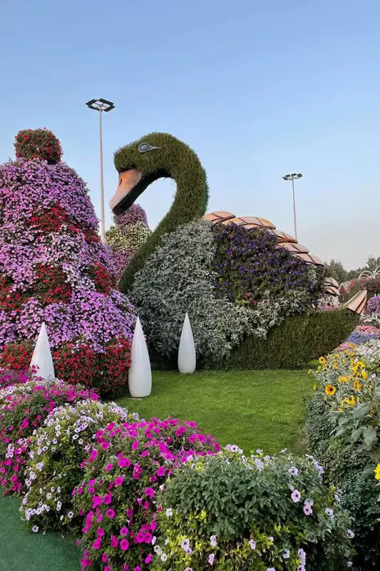 Dubai Butterfly Garden — photo 2 of 9